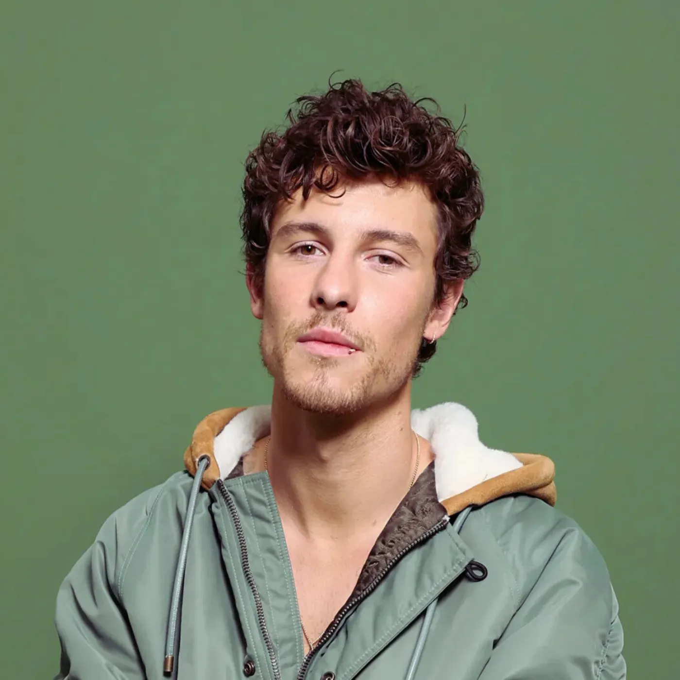 Shawn Mendes Just Made Minimalism Look Like a Red Flag