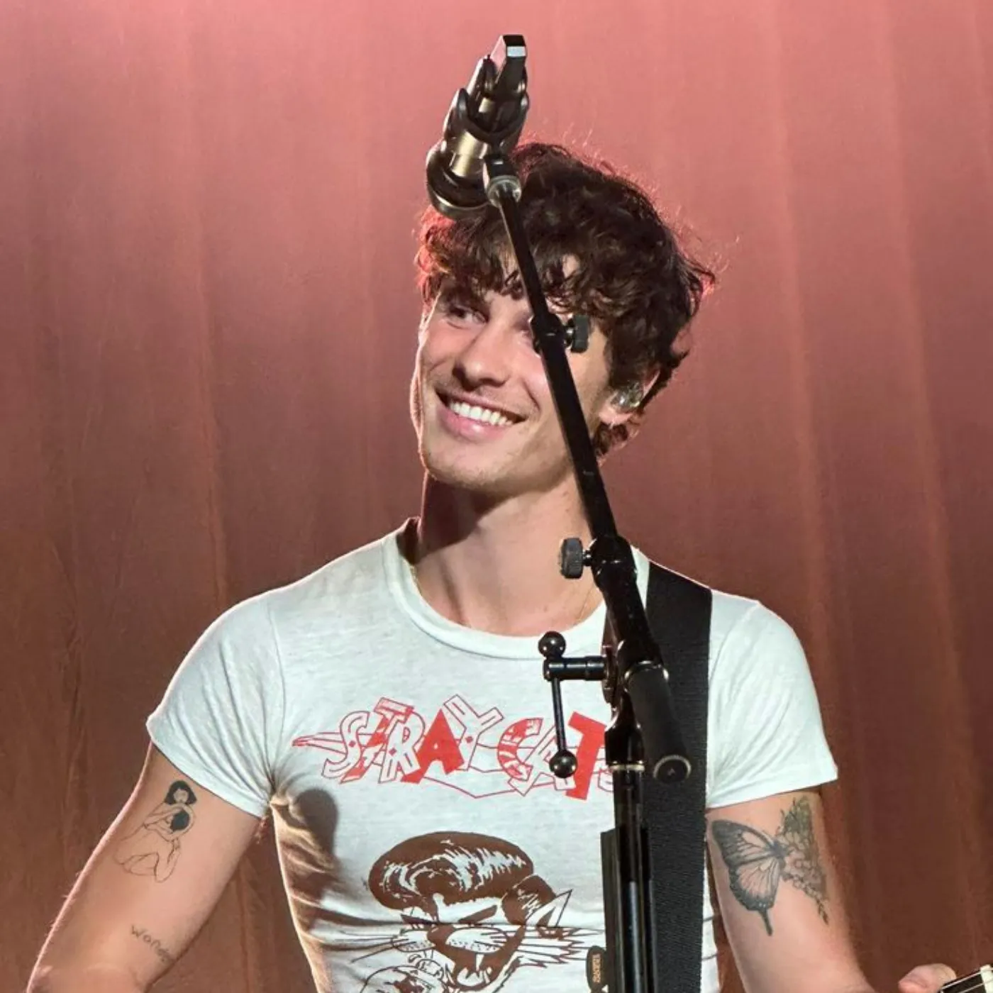 Shawn Mendes Set to Detonate Sunny Hill Festival 2025 — This Won’t Be Just a Show