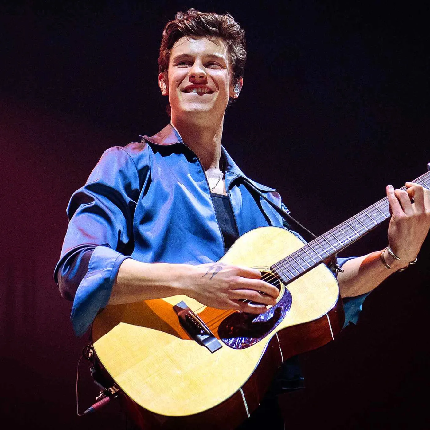 Shawn Mendes and Robert Irwin: The Duo No One Predicted, But Everyone’s Watching