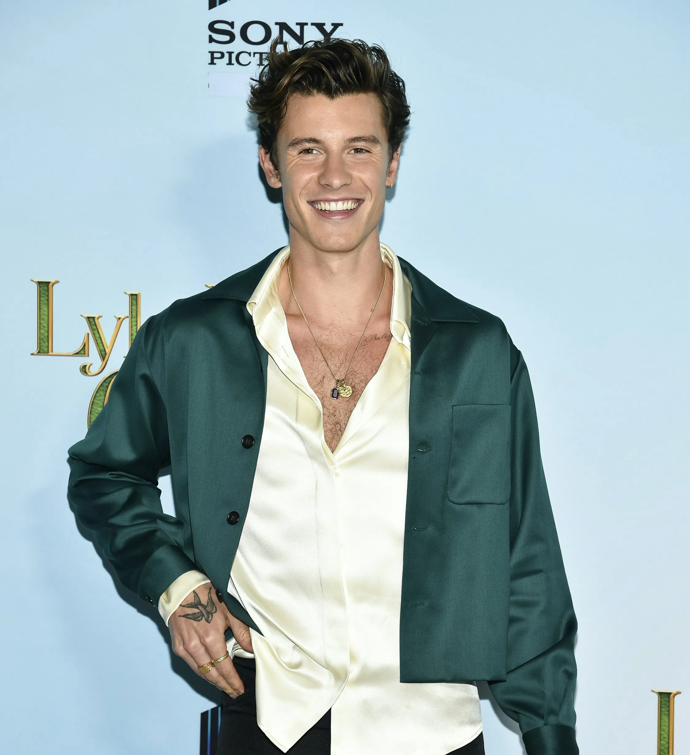 image_685d119f4e981 ‘You’re the Only One I Want’ — Leaked Private Chats Show Shawn Mendes Being the Perfect Boyfriend, and Fans Can’t Handle It