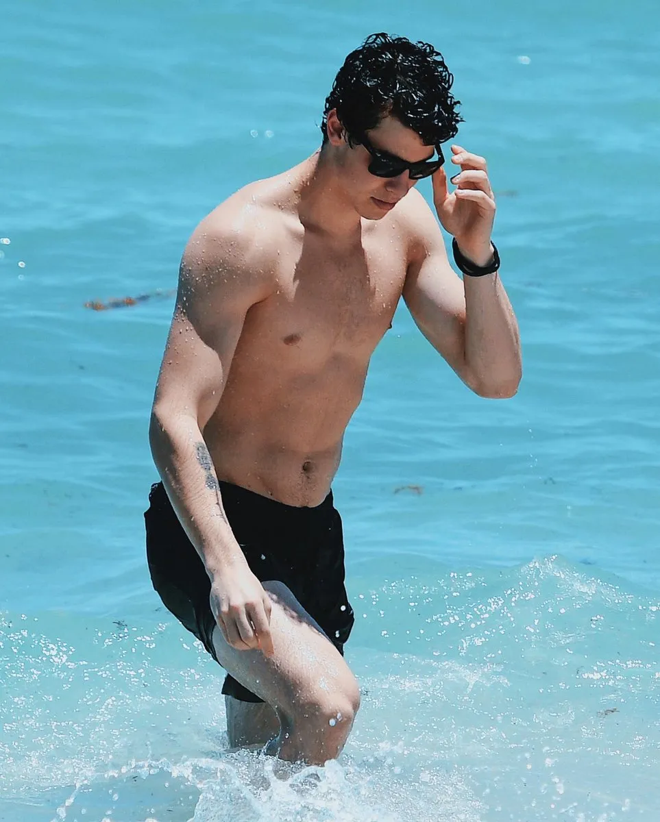 ‘You’re the Only One I Want’ — Leaked Private Chats Show Shawn Mendes Being the Perfect Boyfriend, and Fans Can’t Handle It