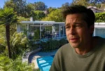 Brad Pitt is devastated by the unimaginable loss of his assets.