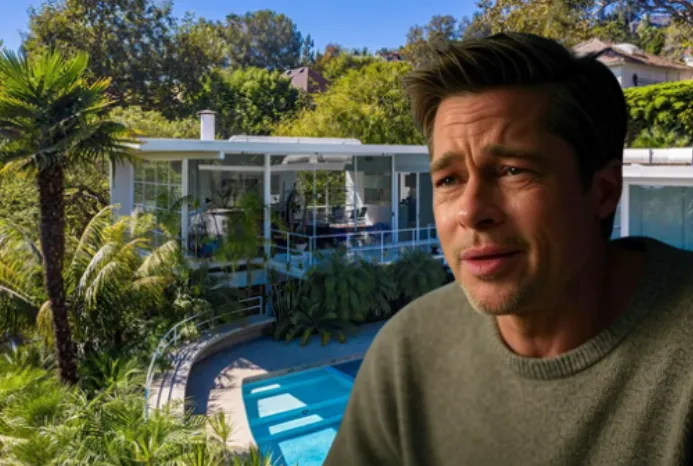 Brad Pitt is devastated by the unimaginable loss of his assets.