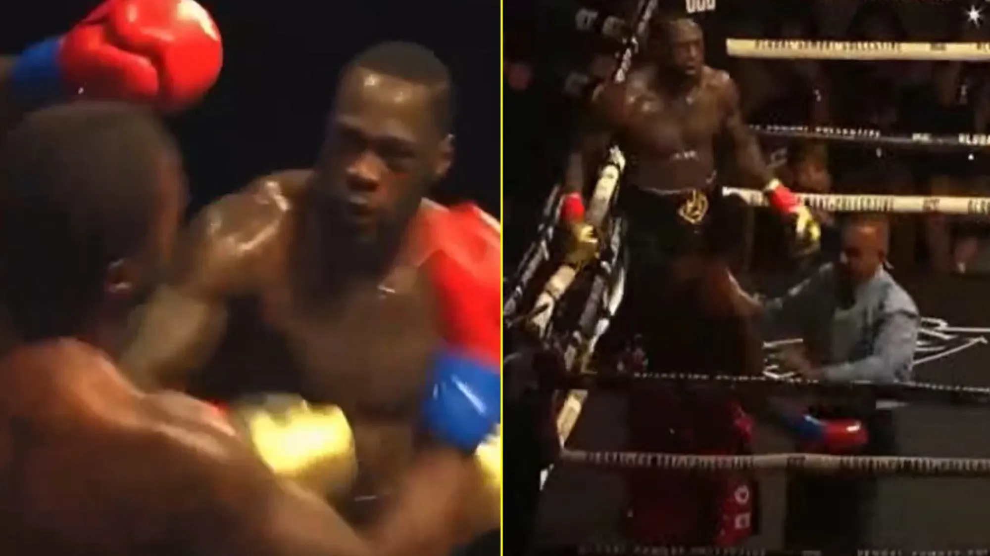 image_685f7bd5395eb Wilder Makes a Grand Comeback: Defeats Herndon Twice, Stops the Main Event