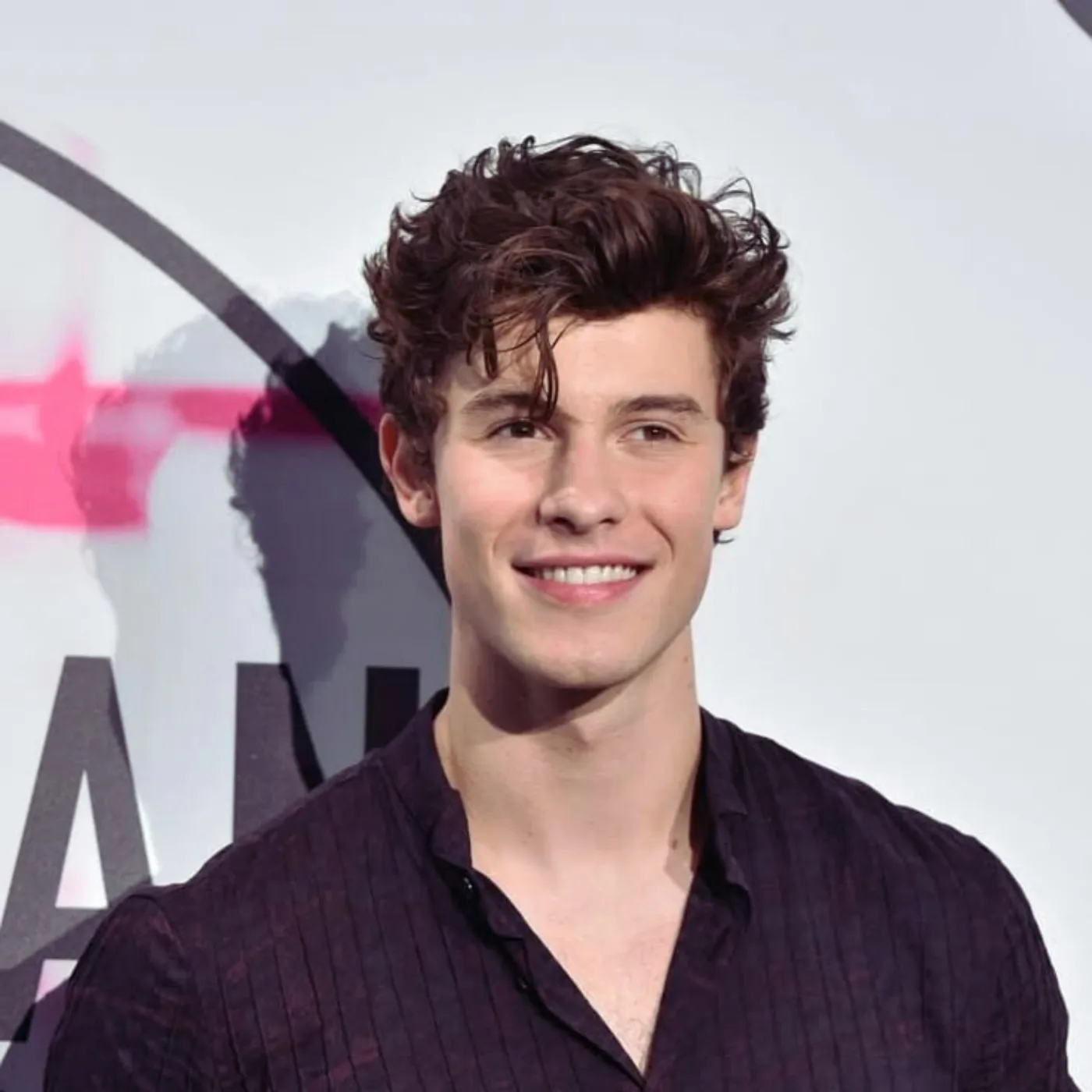 Insiders Spill on Shawn Mendes Robert Irwin Chemistry That Stole the Show