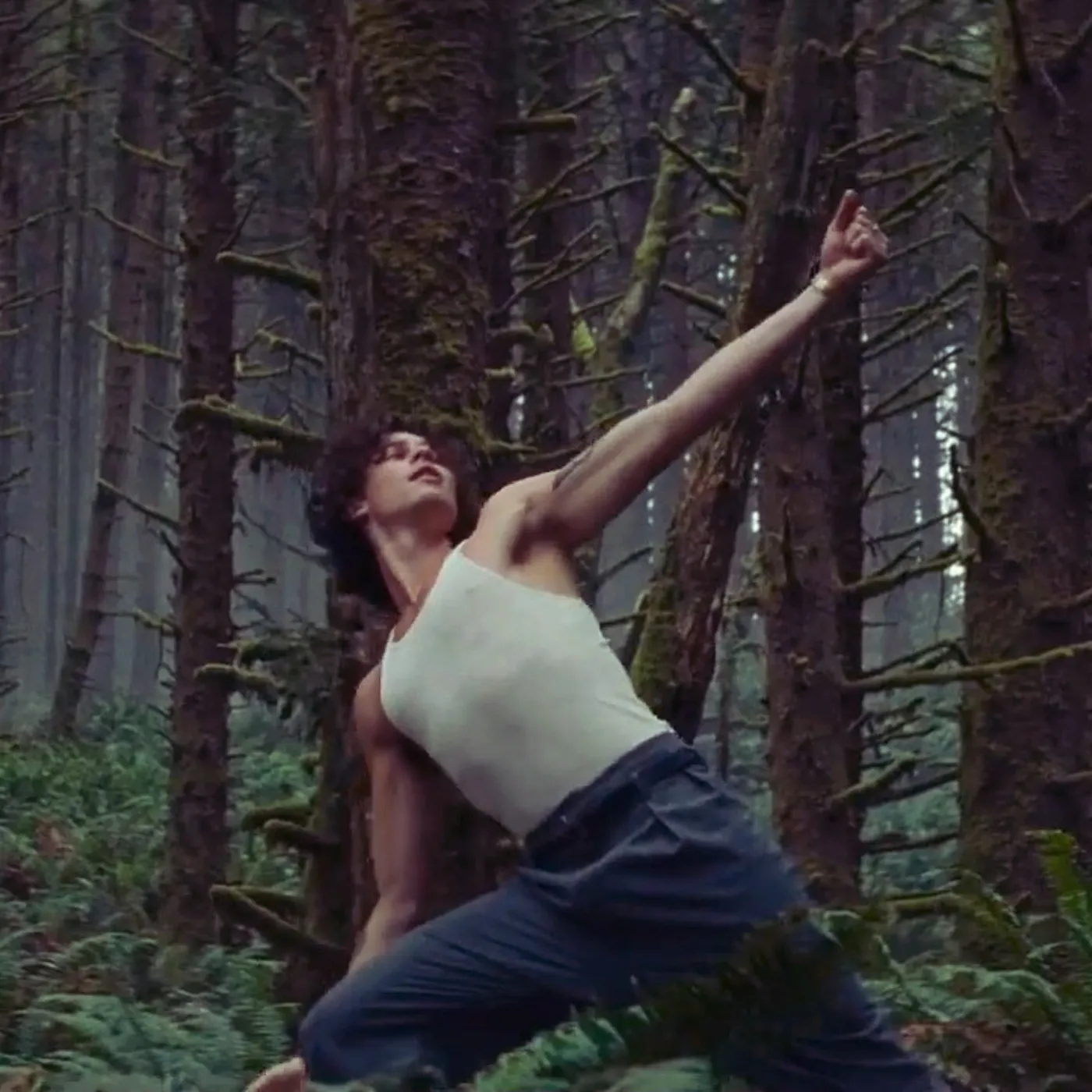 Shawn Mendes Unleashes the Forest Discovery That Changed Everything