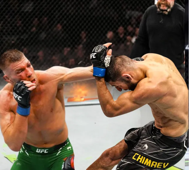 Dricus Du Plessis Dominates with a Brutal Punch at UFC 319, But Ends Bitterly with Chimaev!