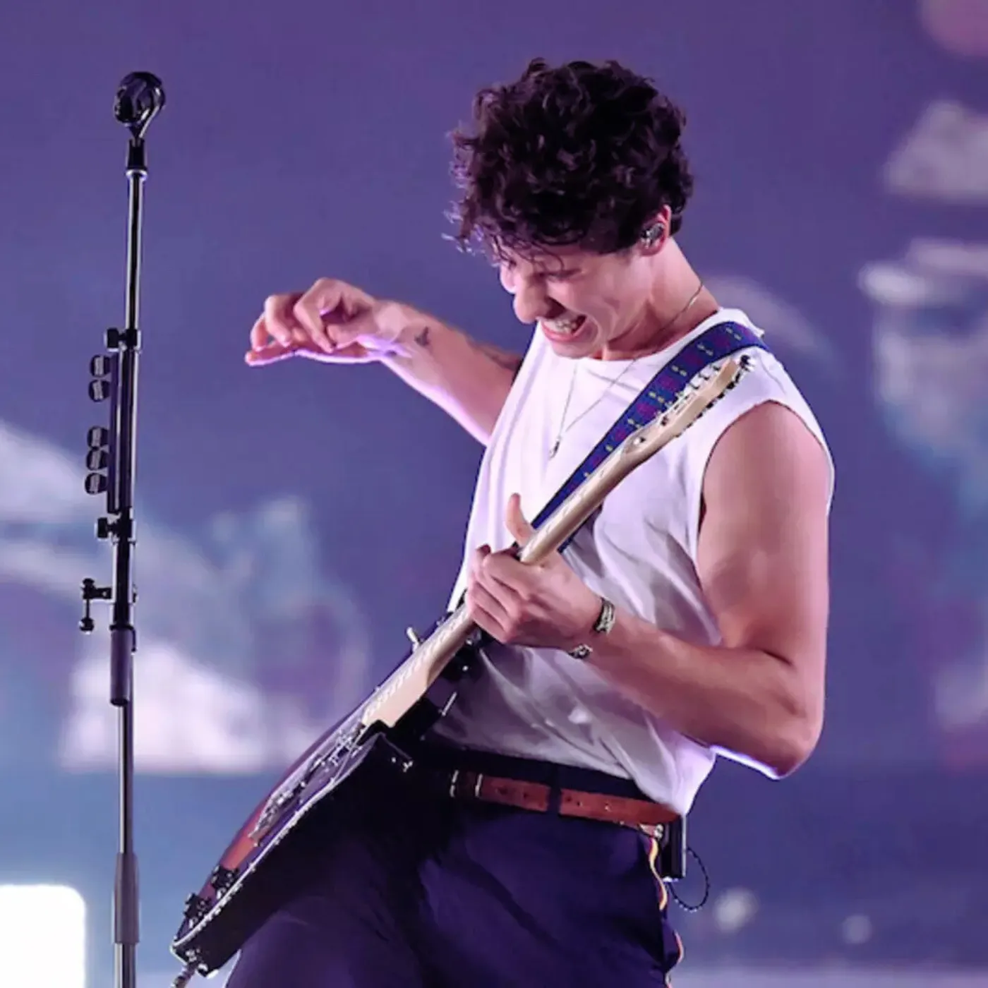 image_686348c536994 Shawn Mendes Begs to Bury the Ink That Won’t Let Him Forget