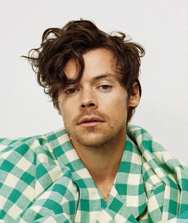 He Offered to Park Car... And Never Came Back — Harry Styles Is the Internet’s Favorite Criminal Now