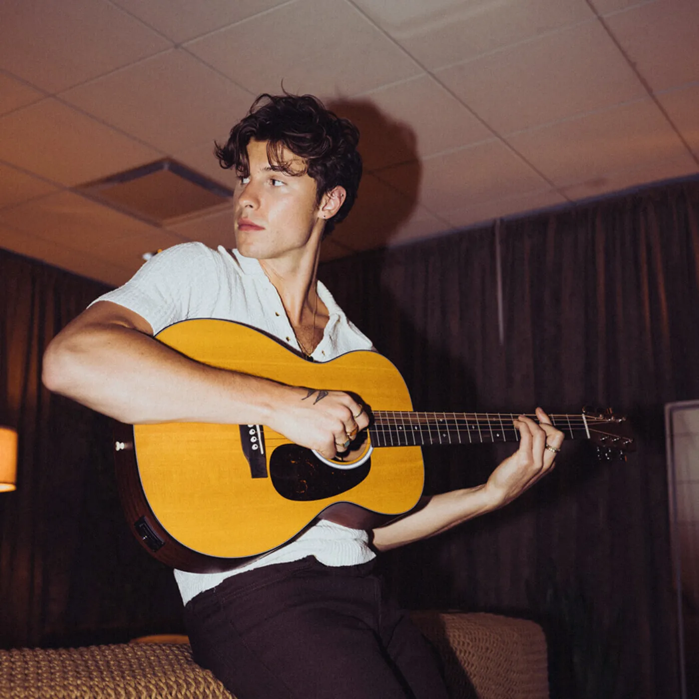 Don’t Even Think About Dating Shawn Mendes Until You Know This