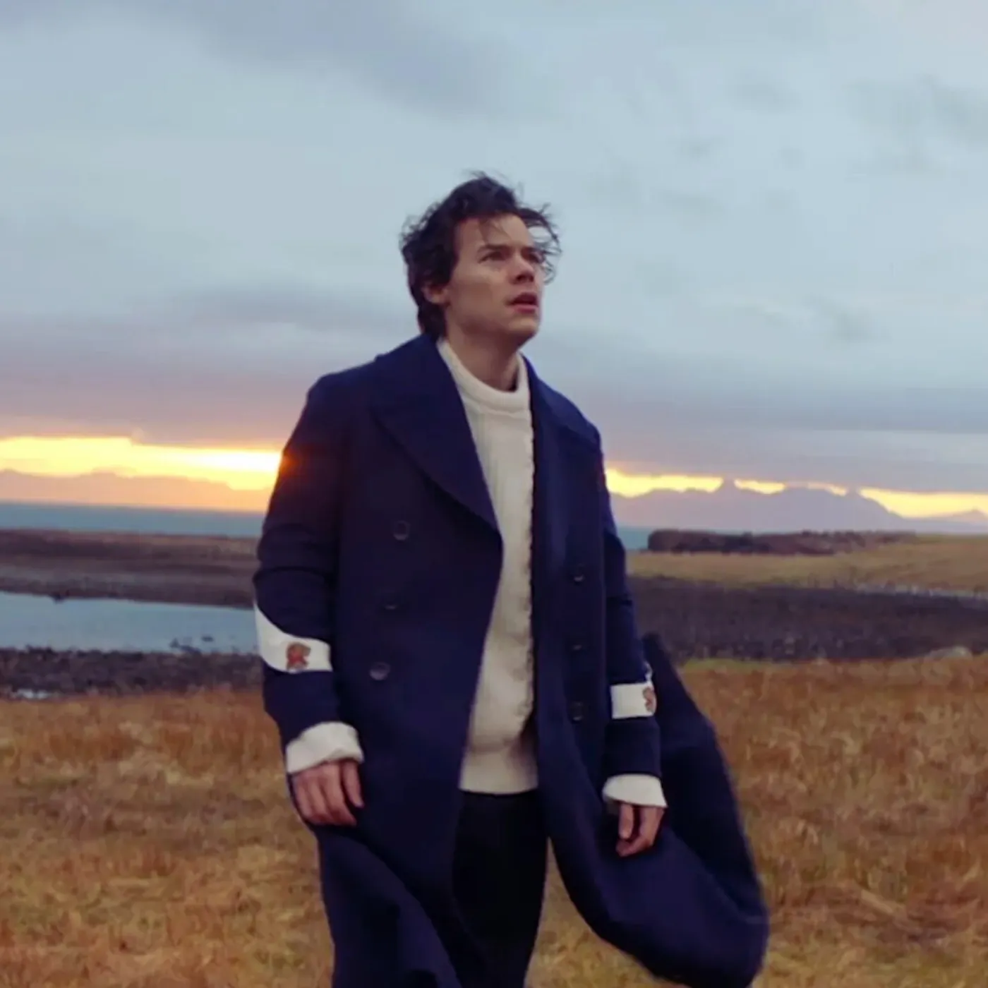 Harry Styles Sparks Outrage as Glastonbury Kiss Partner Finally Exposed