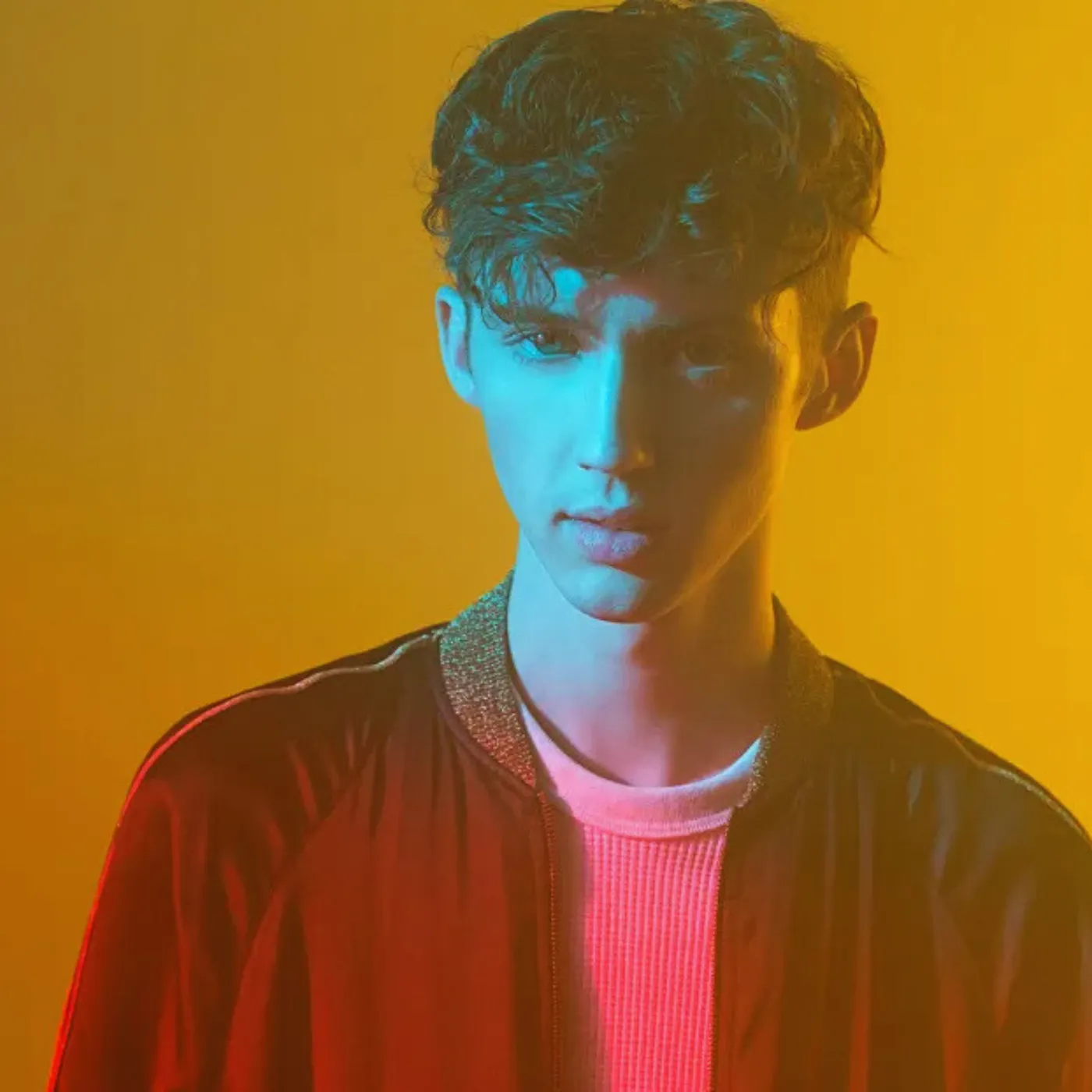 image_6866066d47f09 Troye Sivan Played Us All with Wild’s Hidden Message