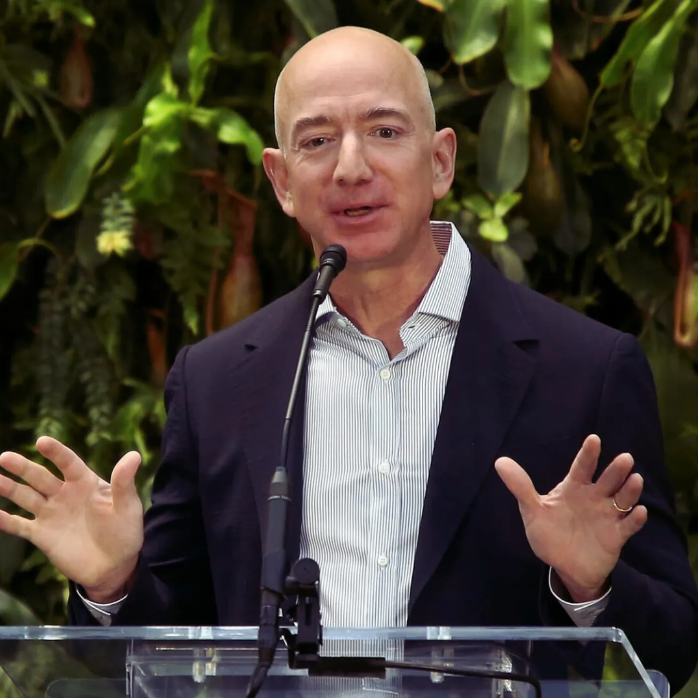 image_686732b284099 Jeff Bezos Unleashes Big Green Push in Peru Sparking Accusations of PR Hype