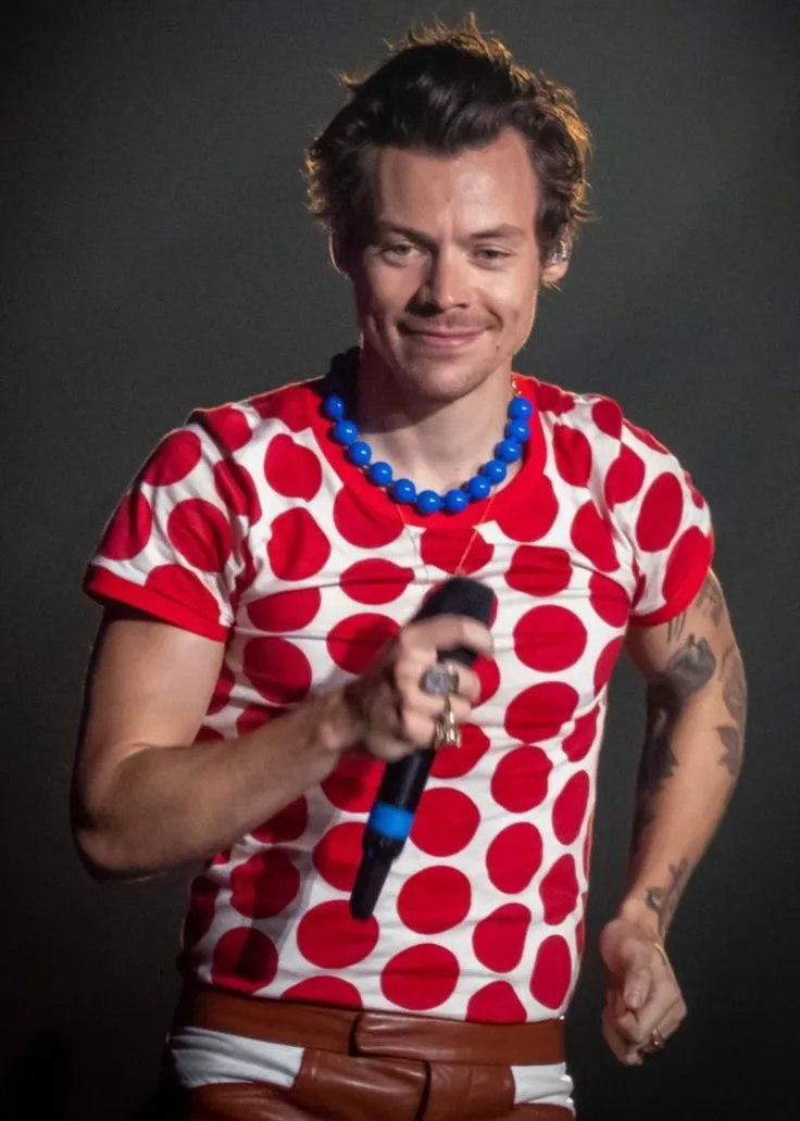 He Had No Training. No Rules. No Plan — But Somehow, Harry Styles Just Took Over Hollywood. And No One Can Stop Him.