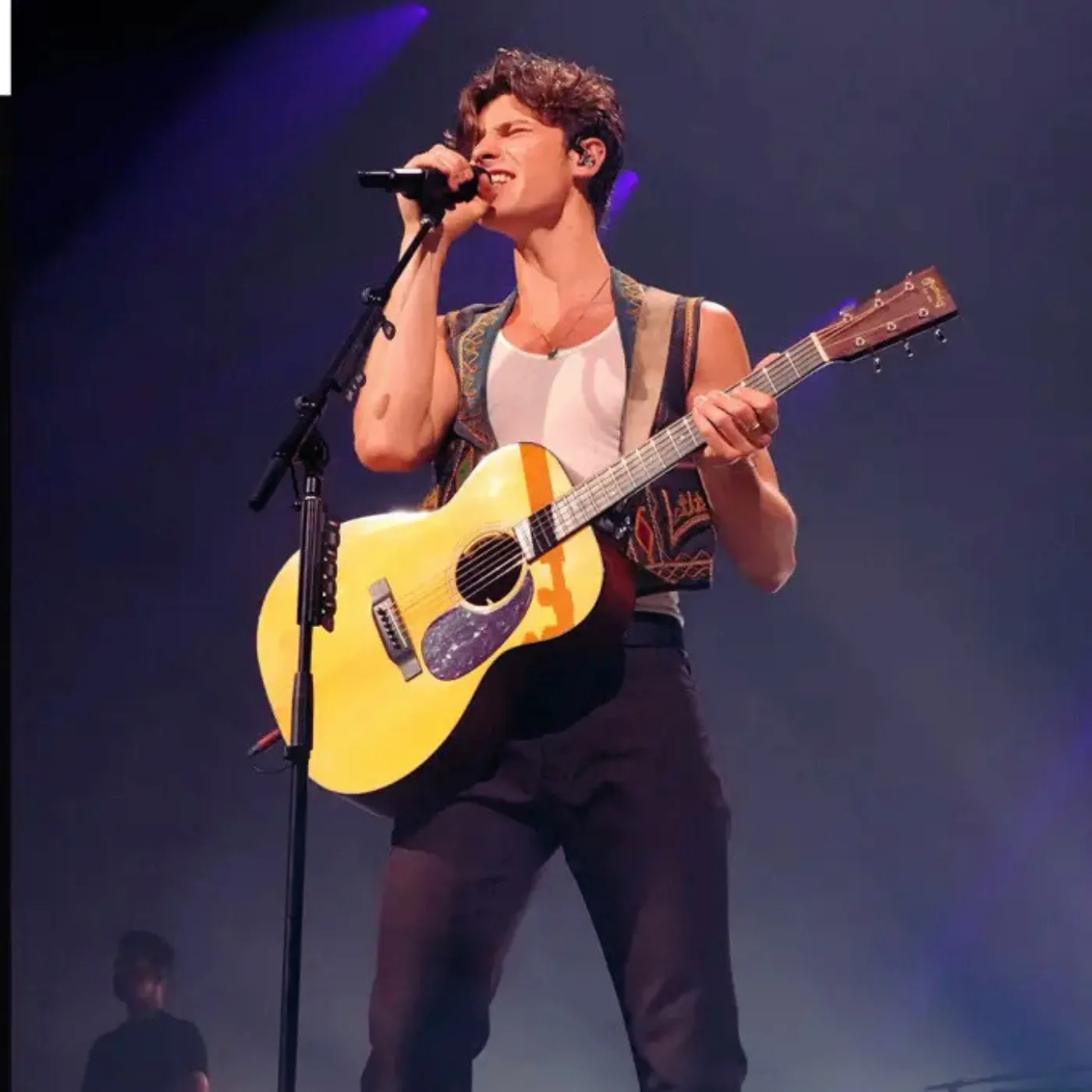 image_686952ff75b67 So Many Coincidences Have People Talking About Shawn Mendes With Robert Irwin