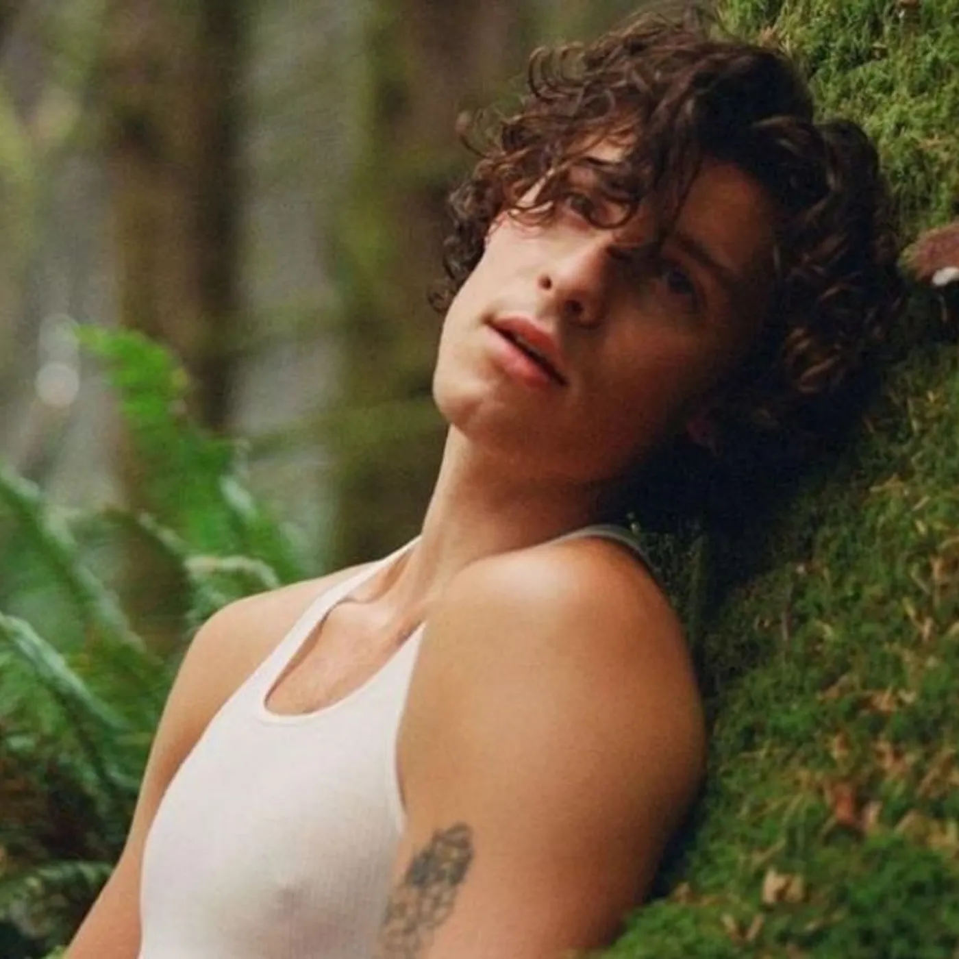 Wait, Shawn Mendes and Robert Irwin? Aussie Fans Explode Over Wild Theory