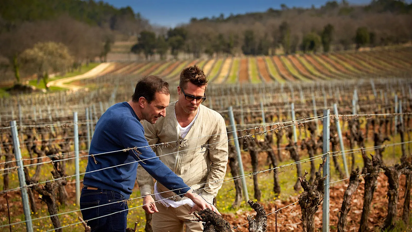 image_686ca2d1b97d1 Brad Pitt is uncompromising: Uncovering Angelina Jolie's company in the winery dispute