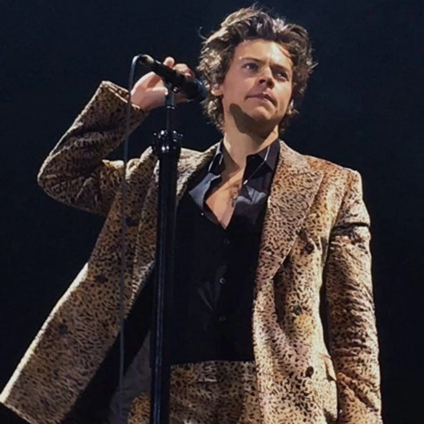image_686cc059d099a Role Model Crowned ‘The Next Harry Styles’—Harry’s Reaction Sparks Meltdown Online