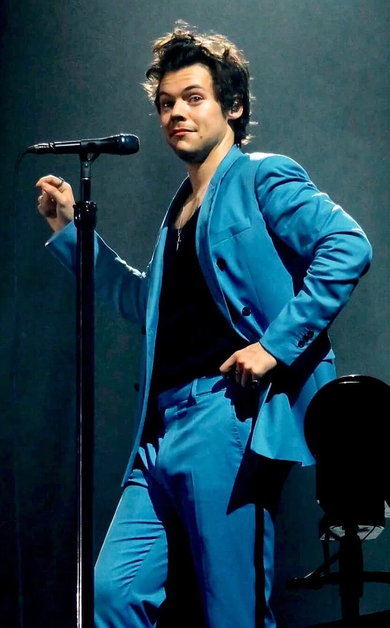 He Protected Harry Styles for Years — But What This Ex-Bodyguard Just Revealed Could Shatter His ‘Nicest Guy in Pop’ Image