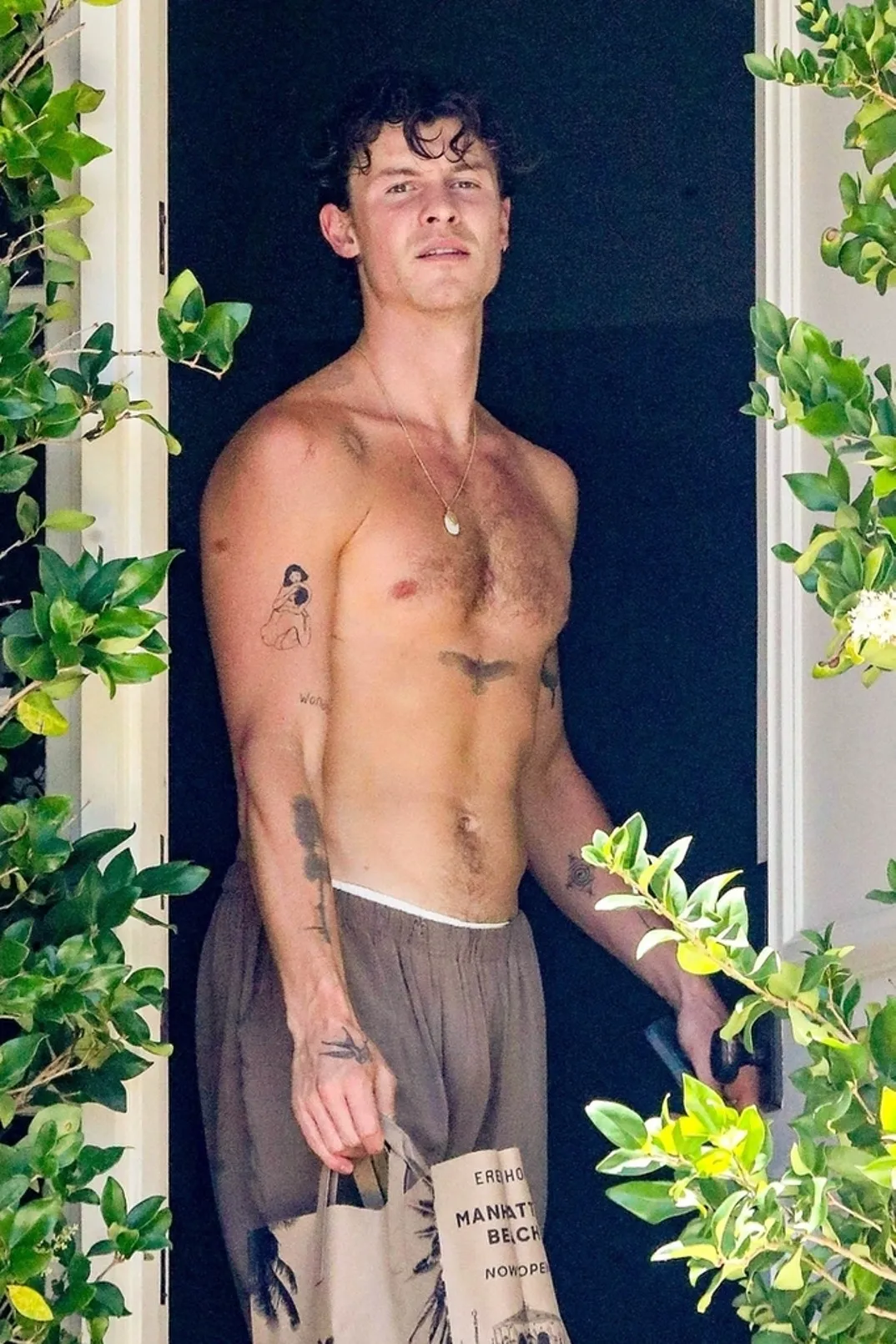 image_686e1ab443e14 Shawn Mendes Steps Out Shirtless in L.A. — But What’s Inside That Mystery Bag Has Fans Losing It