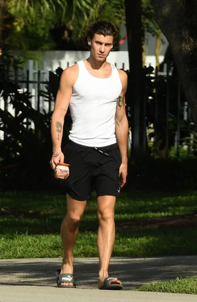 image_686f2979656bb Fans Are Zooming In on This One Detail From Shawn Mendes’ LA Grocery Run With His Family — And Now Theories Are Exploding