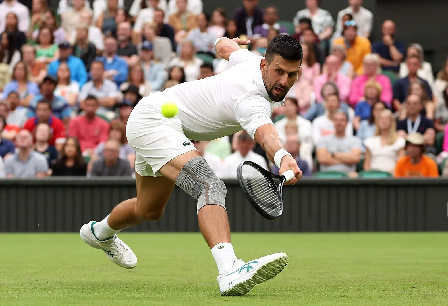 A Collective Gasp Echoed Through Wimbledon — Novak Djokovic’s Collapse Left Fans Frozen in Fear