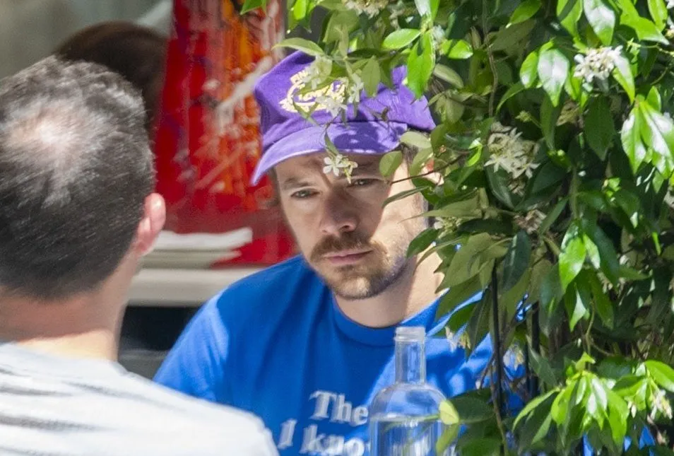 image_68712a39c5fbc Inside Harry Styles’ Private Life — The Obsession With Perfection No One Saw Coming