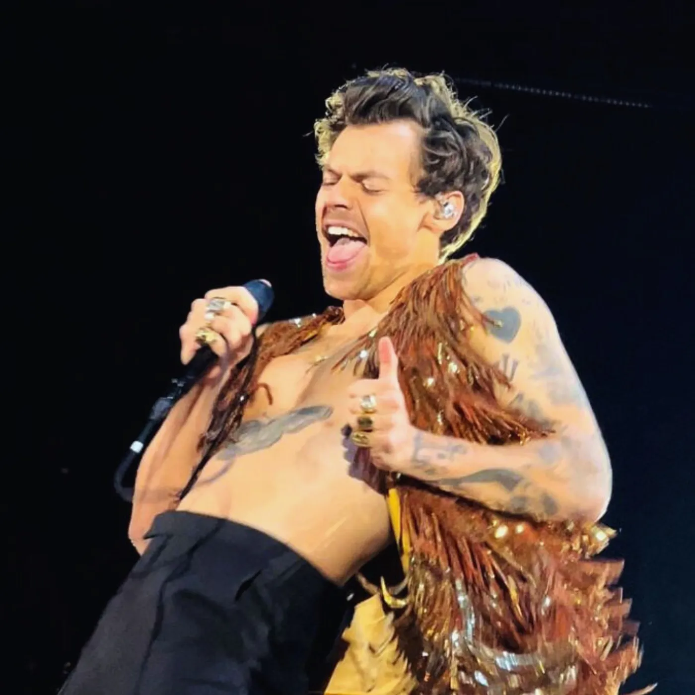 image_6874c0341c397 Harry Styles Sparks Uproar Over Claims He Manipulated His Way to 25 Billion Streams