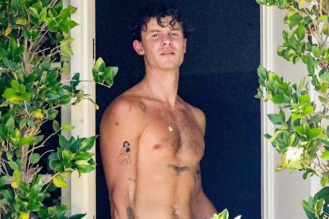 image_6874c5c6f2825 Shawn Mendes Just Showed Off His Abs and a Mysterious New Tattoo — Fans Think There’s a Secret Message Hidden In It