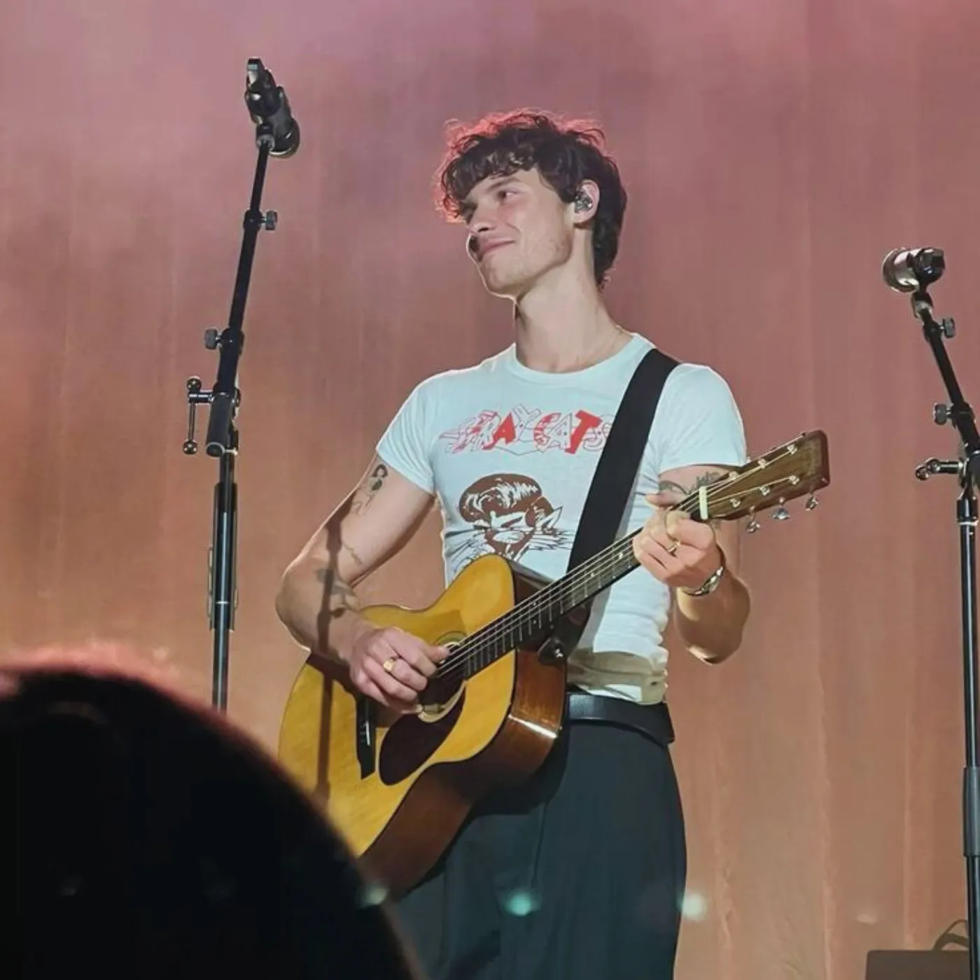 image_6875b4866912c Shawn Mendes Sets Social Media Ablaze With Unfiltered Success Confession