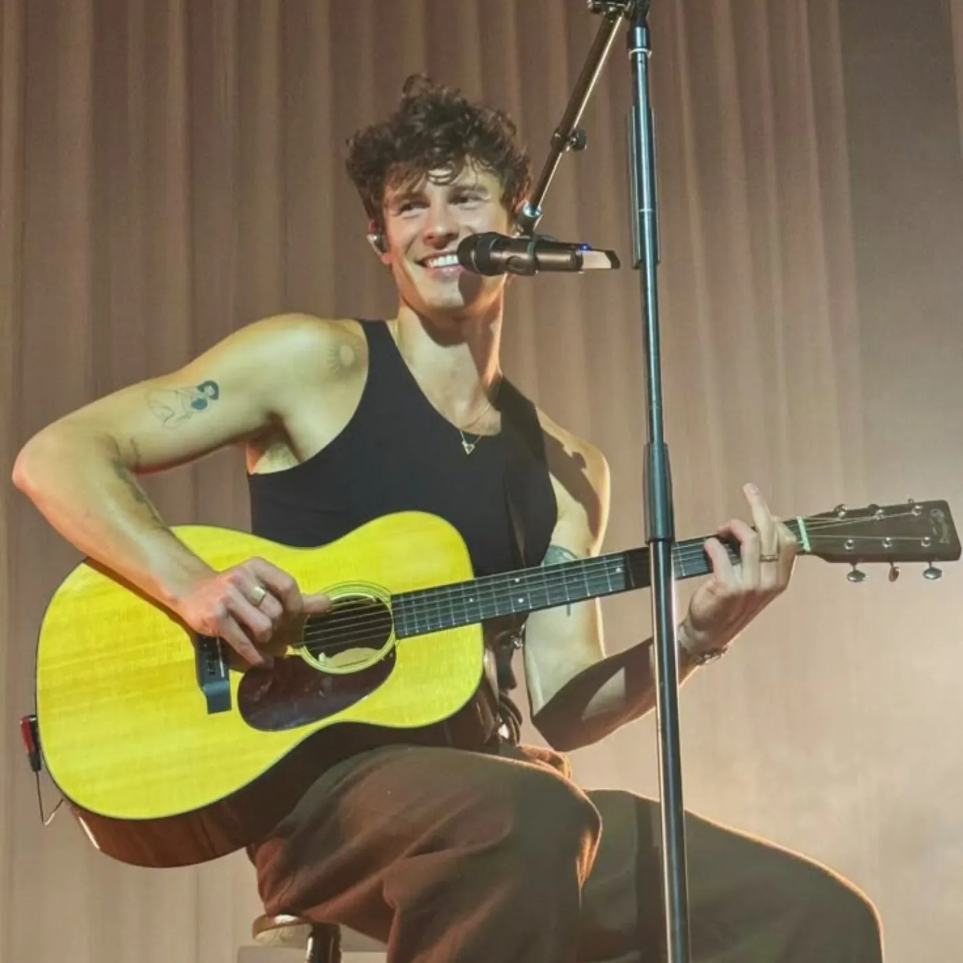 Shawn Mendes Sets Social Media Ablaze With Unfiltered Success Confession