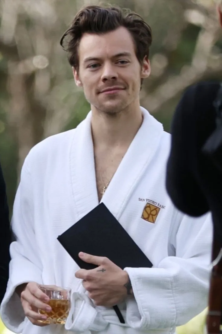 image_6875be9ac7fb5 Harry Styles & Kendall Jenner’s Yacht Chemistry Has Fans Spiraling — Leaked Photos Spark Wild Speculation About What Really Happened at Sea