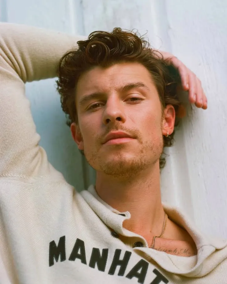 image_6875ce348f6e0 Shawn Mendes and Niall Horan Were a Secret Couple This Whole Time? Internet Explodes as Old Clues Resurface