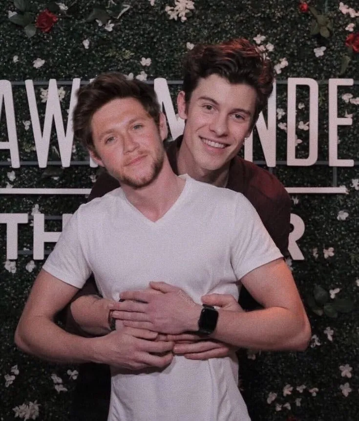image_6875ce34c64b5 Shawn Mendes and Niall Horan Were a Secret Couple This Whole Time? Internet Explodes as Old Clues Resurface
