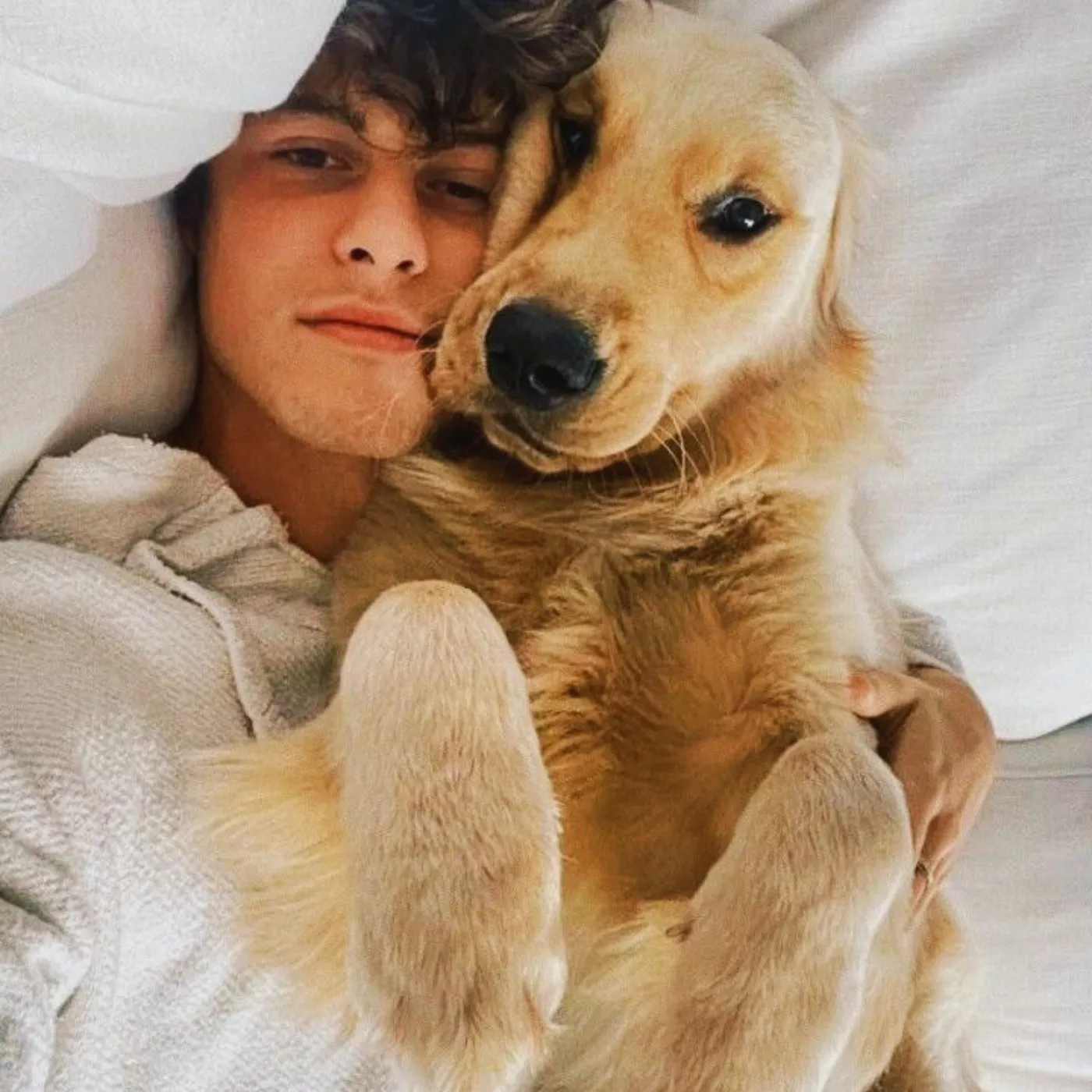 image_6875fbd773aa5 Shawn Mendes Exposed for Strange Animal Obsession Sparks Social Media Firestorm