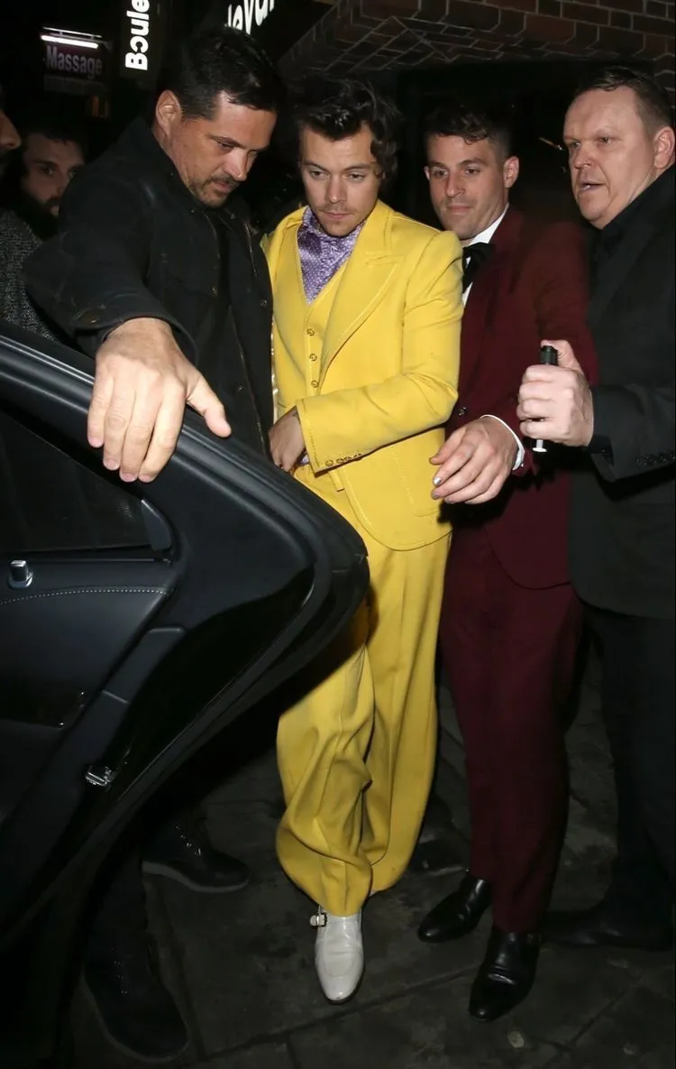 Security Rushes In: The Viral Moment Harry Styles Was Forced to Be Shielded from Aggressive Fans — Again 19 Security Rushes In: The Viral Moment Harry Styles Was Forced to Be Shielded from Aggressive Fans — Again