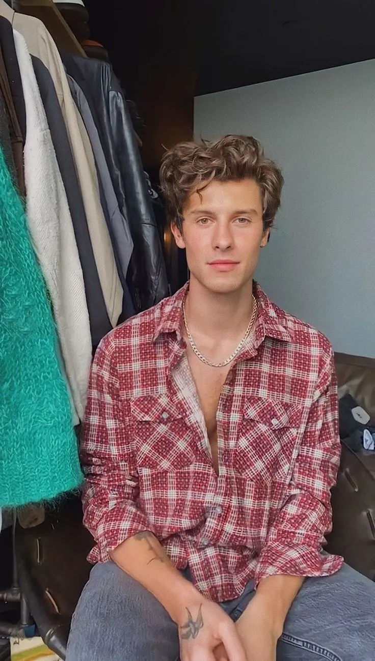 image_68785994da310 Shawn Mendes Got a Matching Elephant Tattoo with His Mom — and the Internet Can't Handle the Emotional Meaning Behind It