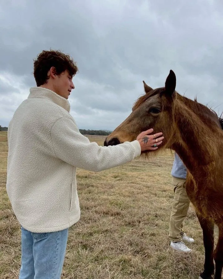 image_68785bf106451 Shawn Mendes Leaves Fans Speechless After Whispering to Animals Like Toddlers — Viral Video Sparks Wild Debate Online