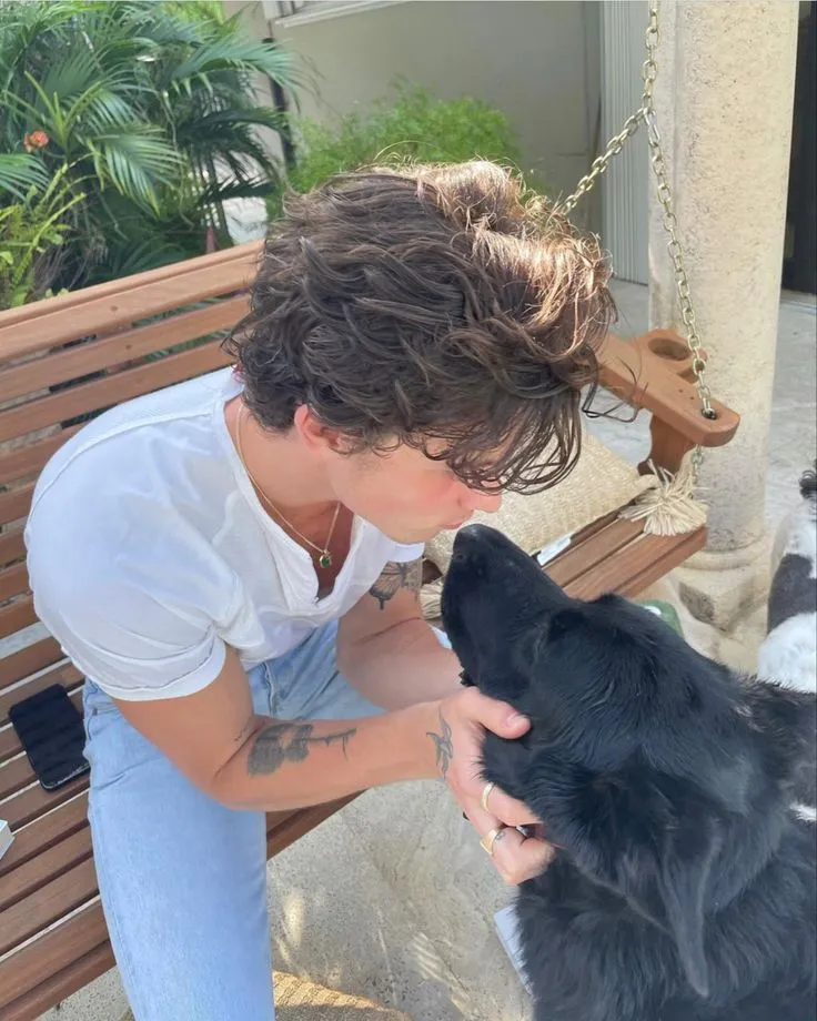 image_68785bf146fb5 Shawn Mendes Leaves Fans Speechless After Whispering to Animals Like Toddlers — Viral Video Sparks Wild Debate Online