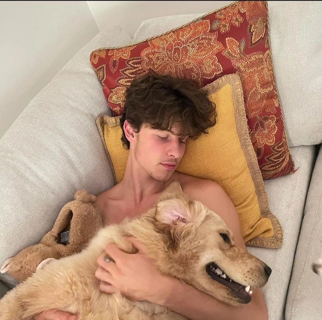 Shawn Mendes Leaves Fans Speechless After Whispering to Animals Like Toddlers — Viral Video Sparks Wild Debate Online 19 Shawn Mendes Leaves Fans Speechless After Whispering to Animals Like Toddlers — Viral Video Sparks Wild Debate Online