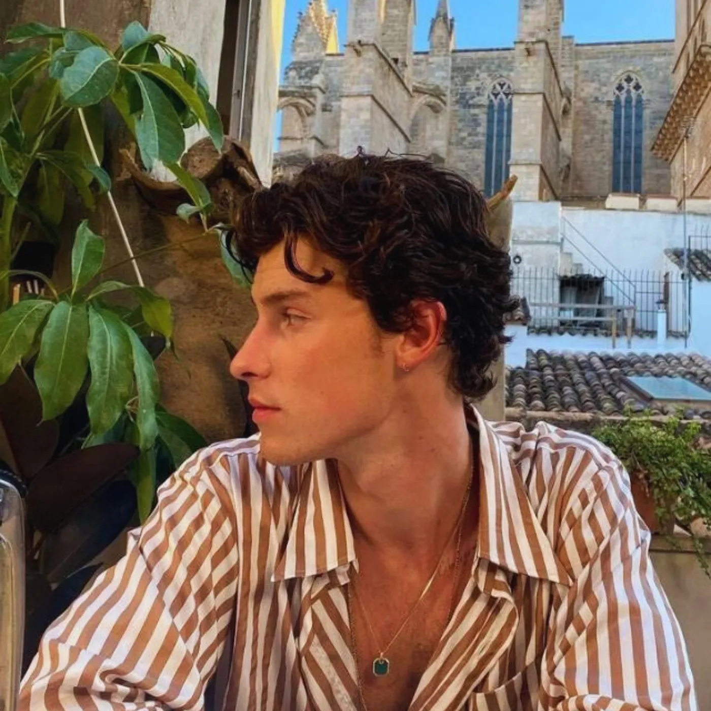 image_6879b77e5516b Inside Shawn Mendes’ Dating Timeline: Fans Spot a Pattern That’s Too Perfect to Ignore