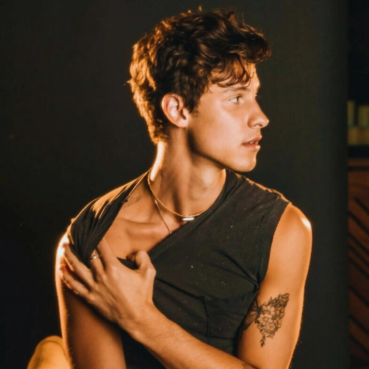 image_6879e75982a32 Shawn Mendes Didn’t Drop a Song, Yet Spotify Blew Up—Explain That