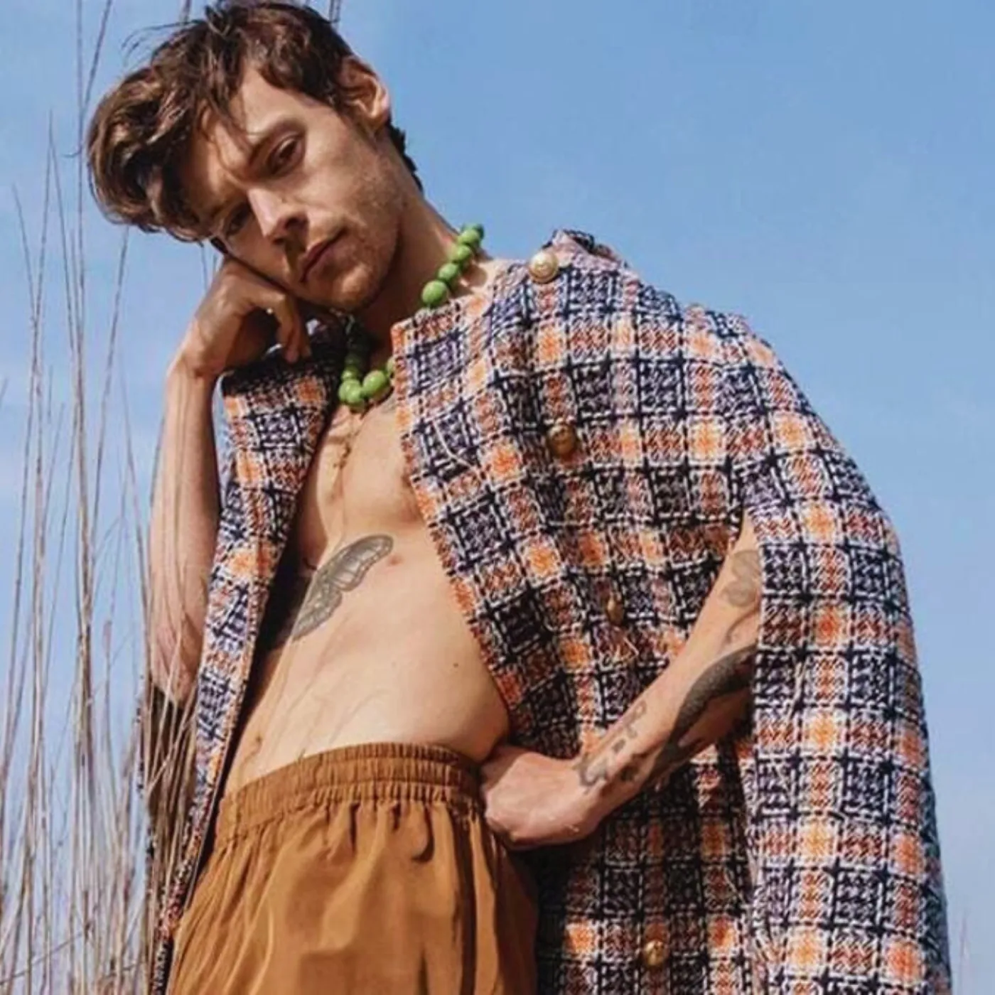 Harry Styles BLINDSIDED by Ed Sheeran’s Public Words