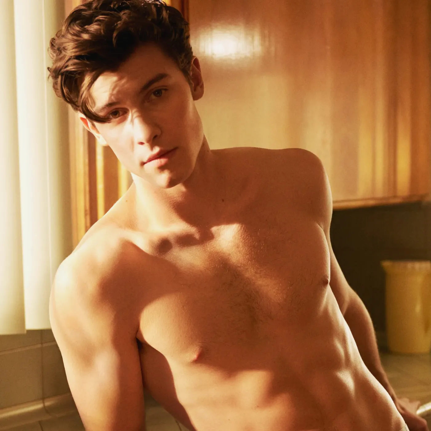 image_687d9d9cd7e7f Shawn Mendes Lands Shocking Lingerie Campaign — The Internet Is Spiraling