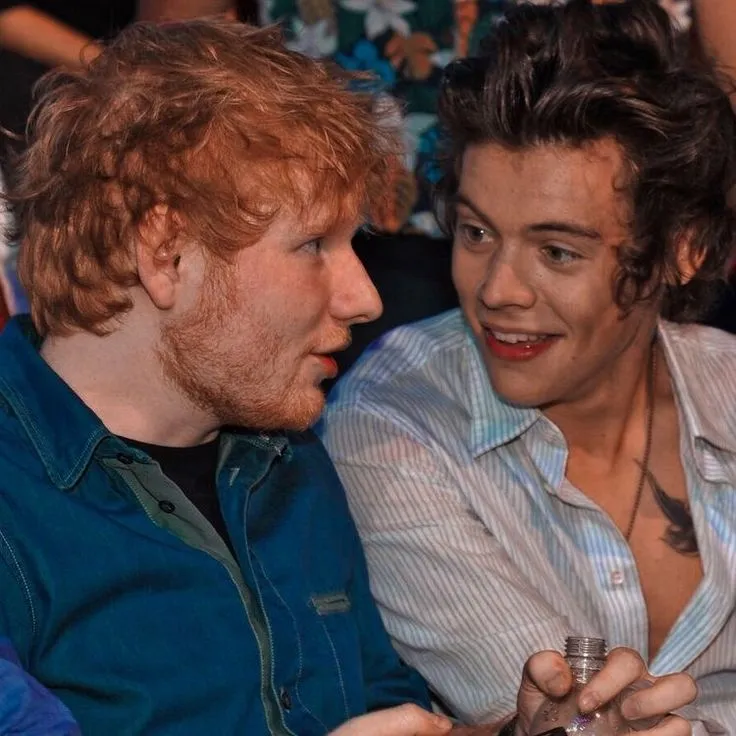 image_687da0040e2d0 Ed Sheeran Leaks What Harry Styles Never Wanted Anyone to Know — Fans Are Losing It Online!