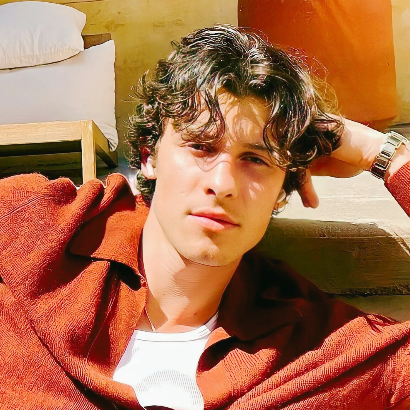 image_687dfde749f85 This Isn't an Album. It's Shawn Mendes Tearing His Soul Apart in Real Time