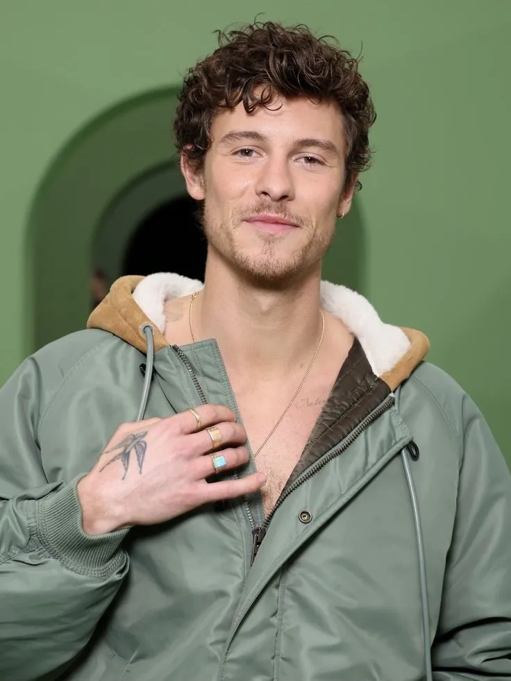 There Was Always Something More — Shawn Mendes Finally Speaks Out on Connor Brashier, and What He Admitted Has the Internet in Total Meltdown