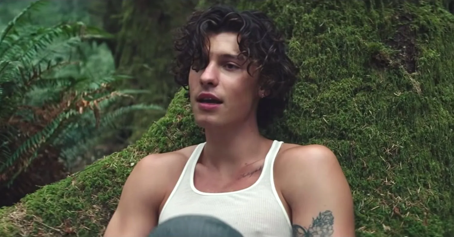 image_687f198cdc68d One Sentence and the Media Went Wild – What Did Shawn Mendes Just Say?!