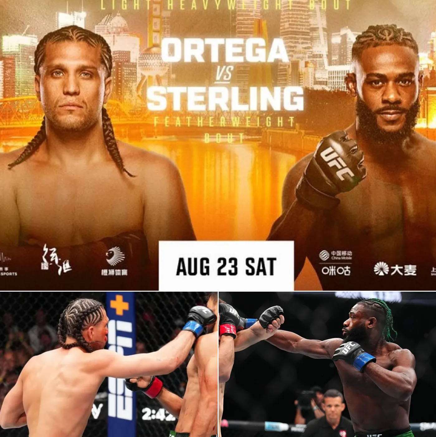 My constant preparation and training will make Aljamain Sterling panic and fear in the next match