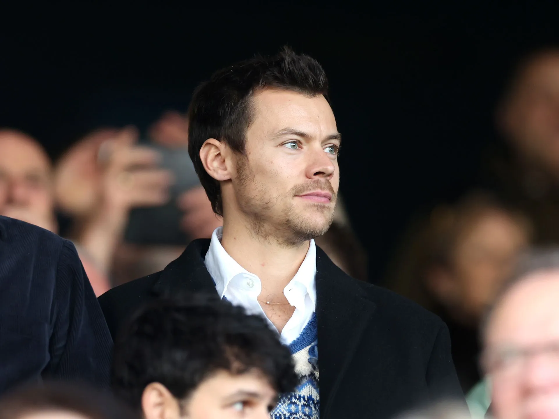 image_6881904010aa2 Not the Cars, Not the Gucci – This Is What Harry Styles Really Looks for When He Gets Home!